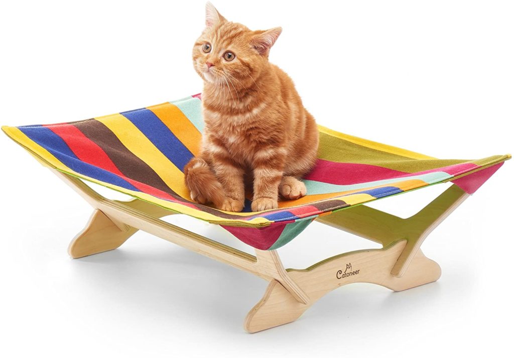 cat hammock